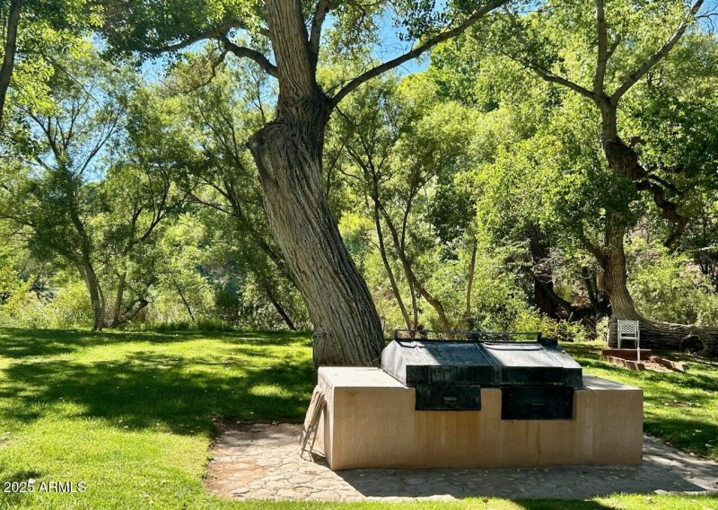 park grills