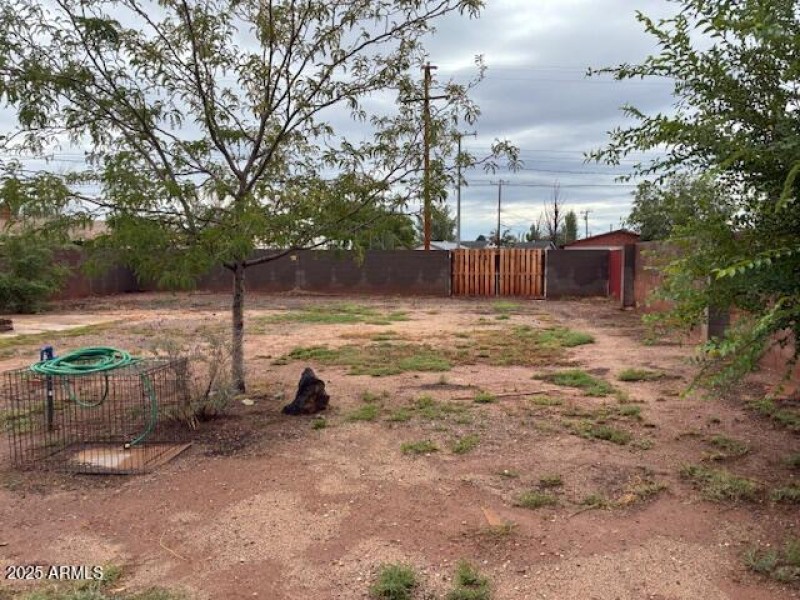 Back Yard