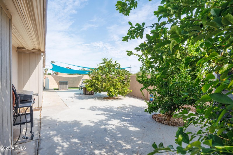 Back Patio