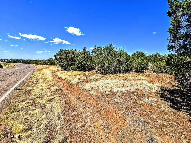 8426 Silver Creek Dr Pic 2