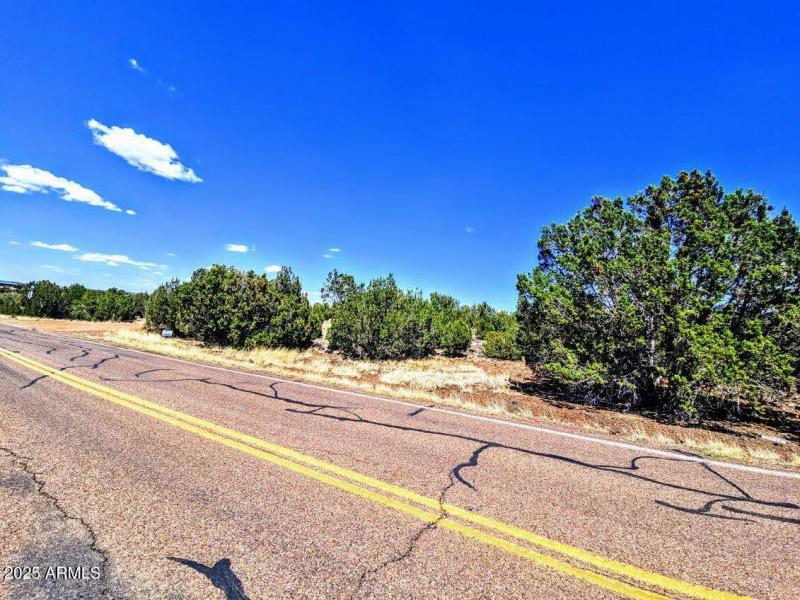 8426 Silver Creek Dr Pic 3