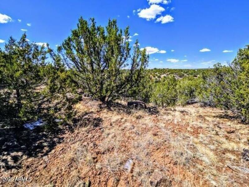 8546 Silver Creek Dr Pic 3