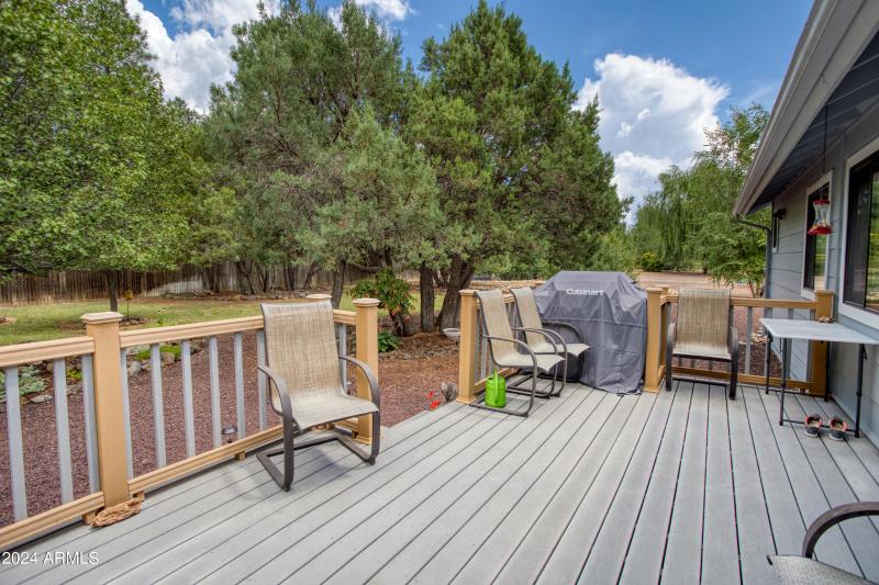 Large Back Deck