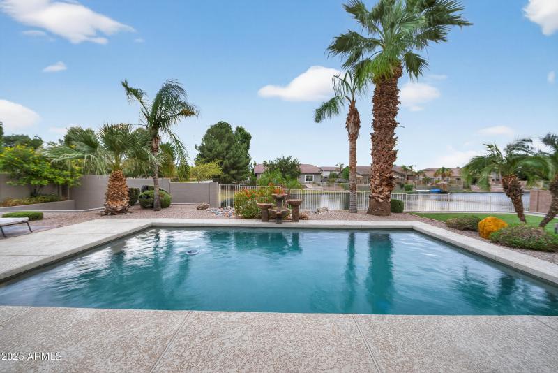 Backyard pool with waterfall