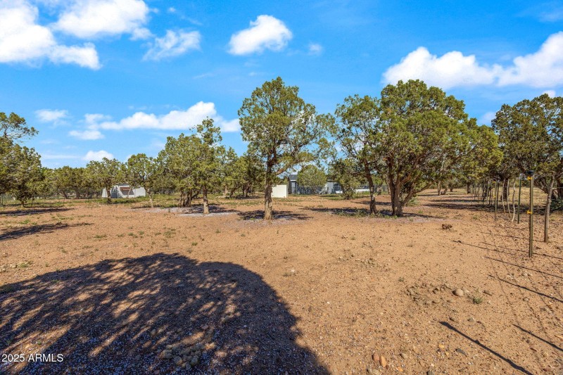 1854TurkeyLakeRd-ShowLow-AZ-26