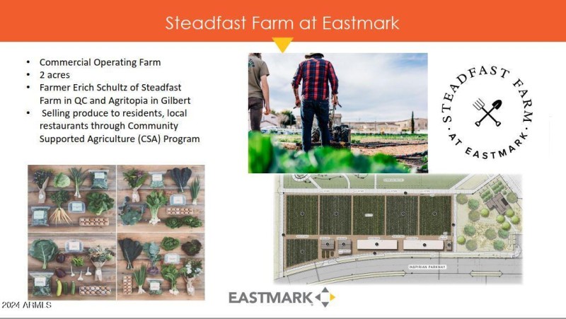 Steadfast Farm at Eastmark