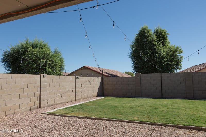 Backyard 1