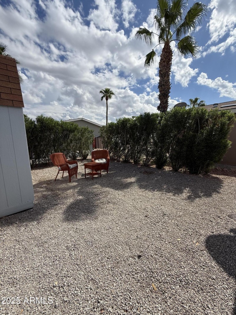 Backyard