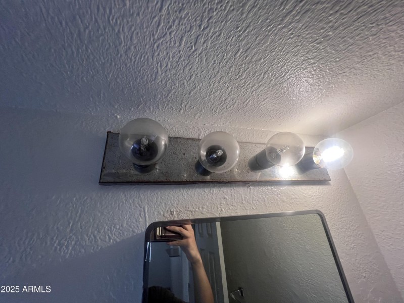 Photo Oct 11 2025, 15 42 50