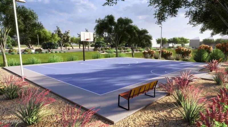 Basketball Court