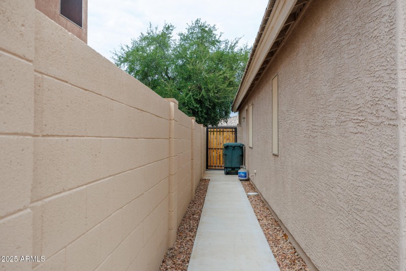Side Yard