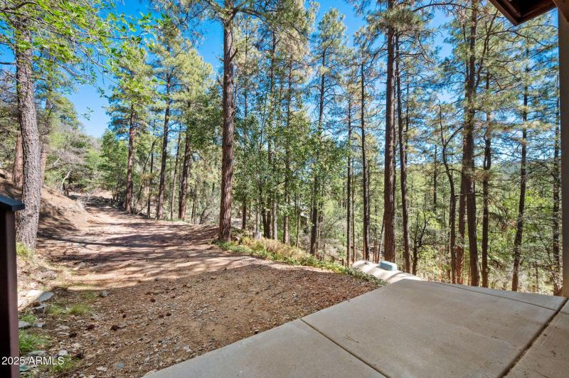 3-Driveway View