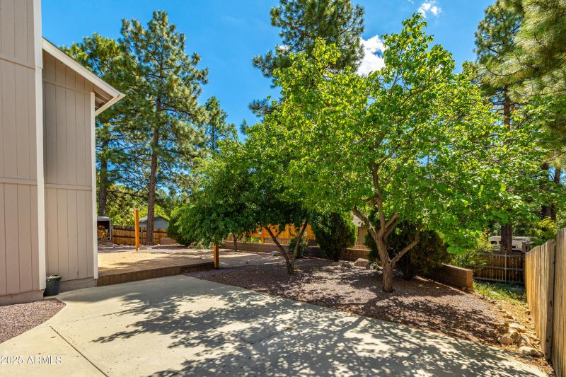 Driveway to Rear Yard