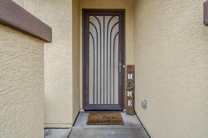 Security Screen Front Door