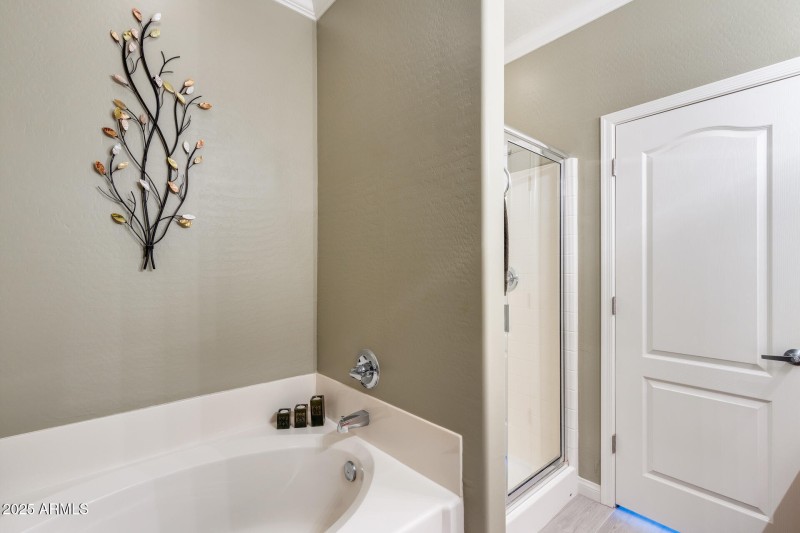 Primary Ensuite