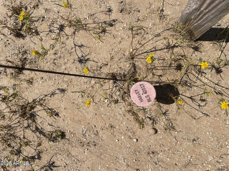 20231209191809563802000000-o