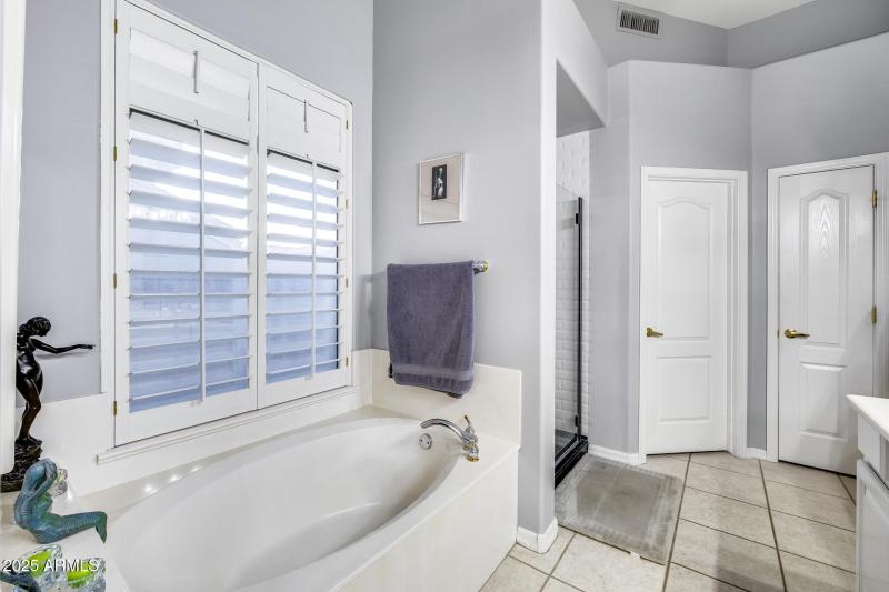 Primary Bathtub