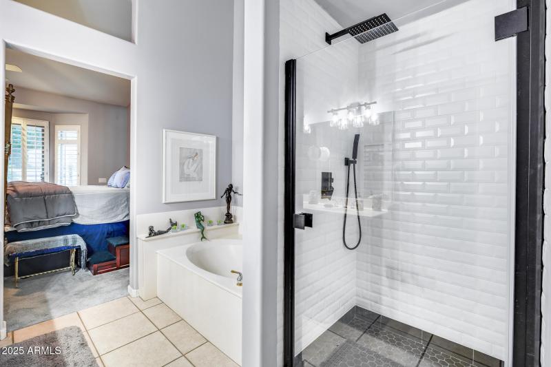 Primary Shower