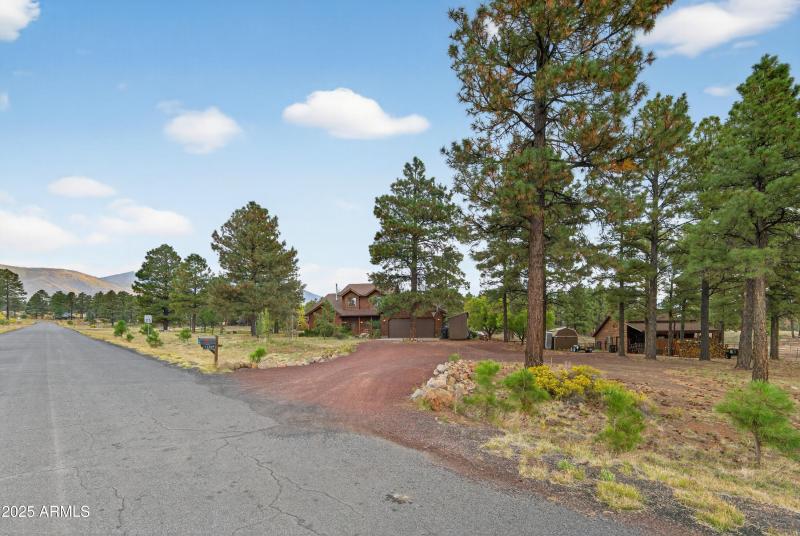 Driveway