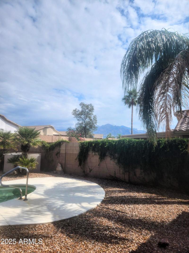 back yard view