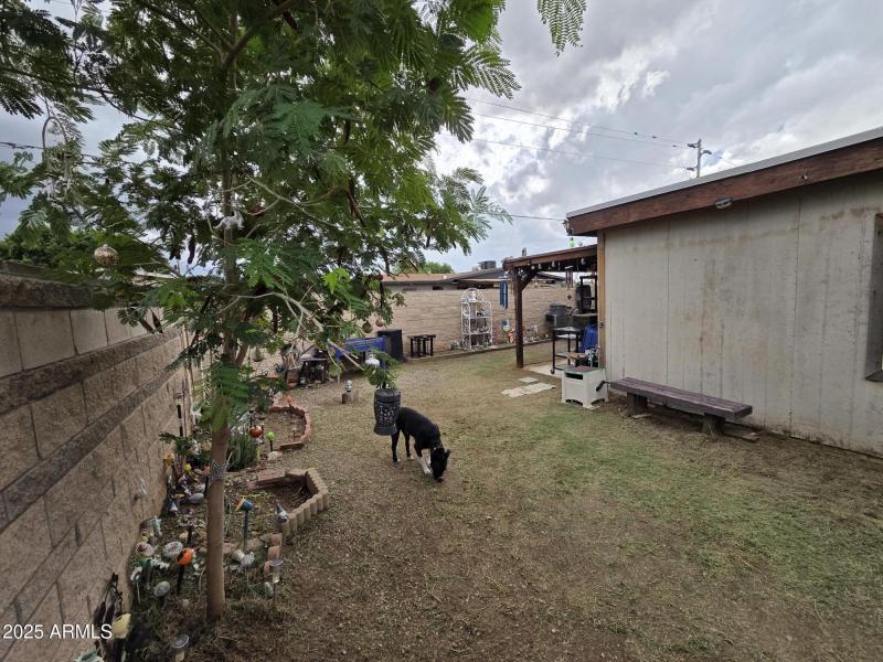 20251013_132232 bkyd 4