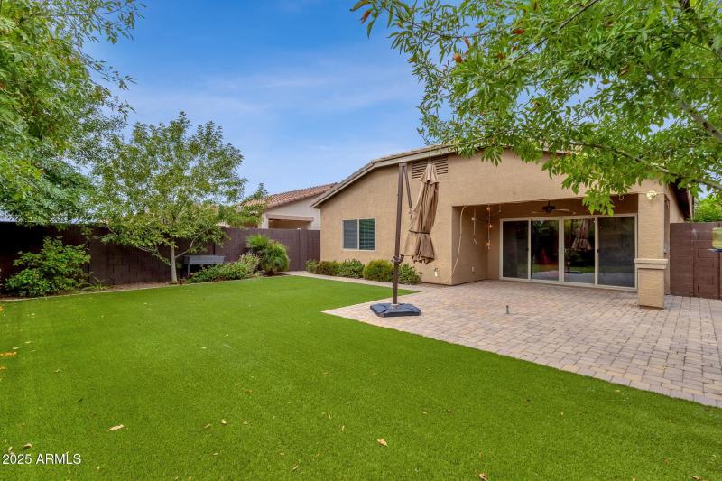 Low Maintenance Turf yard