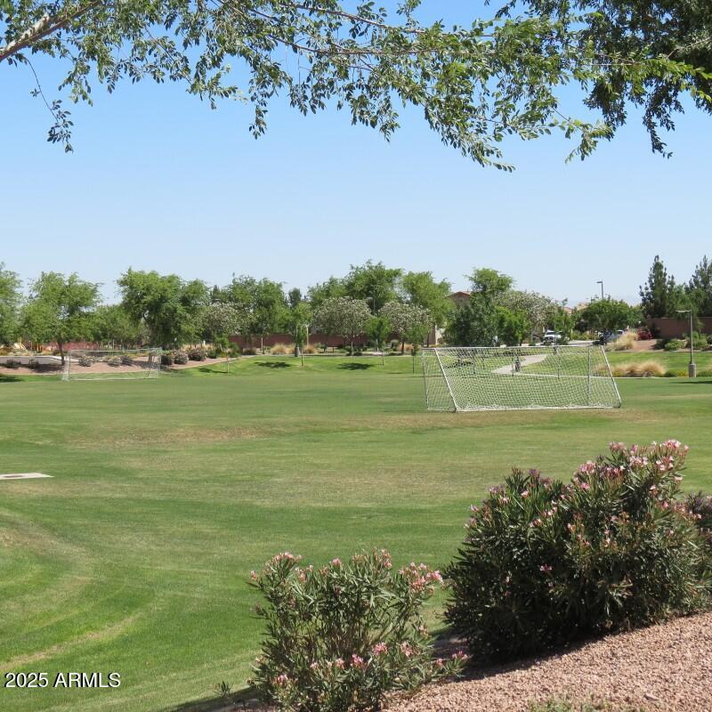 Soccer field