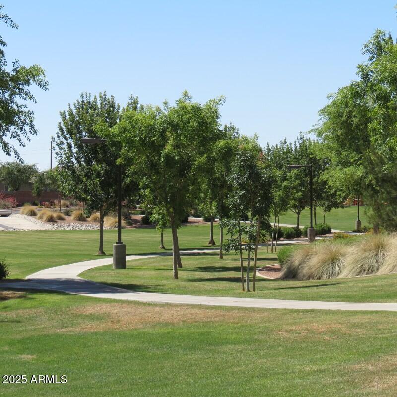 walking path