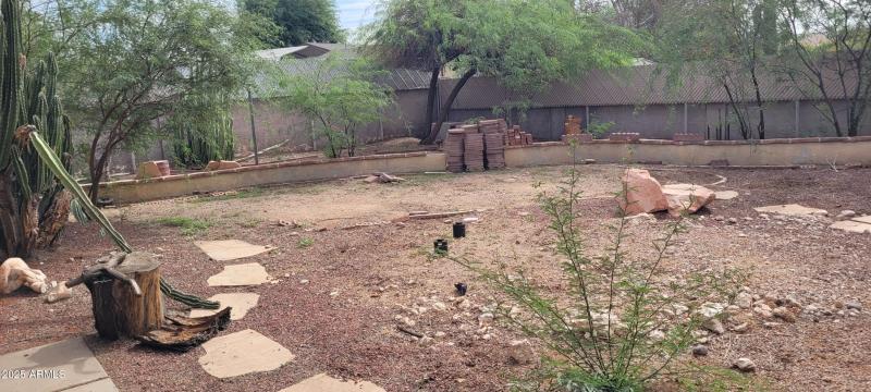 Large Backyard