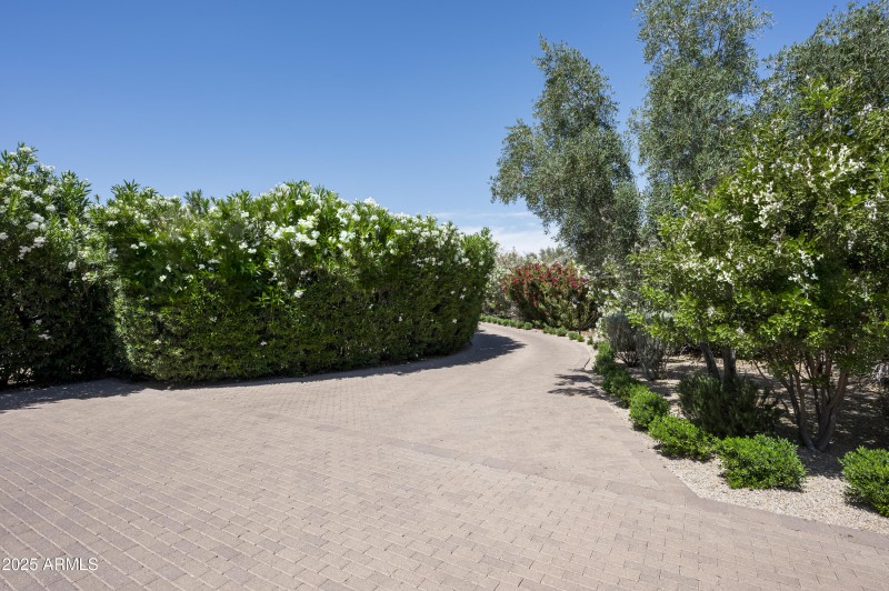Tree-lined Driveway