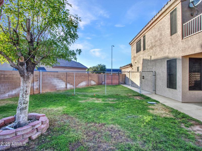 02-Backyard-(5)