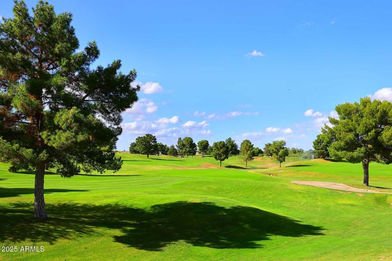 Arizona Traditions-Golf Course3