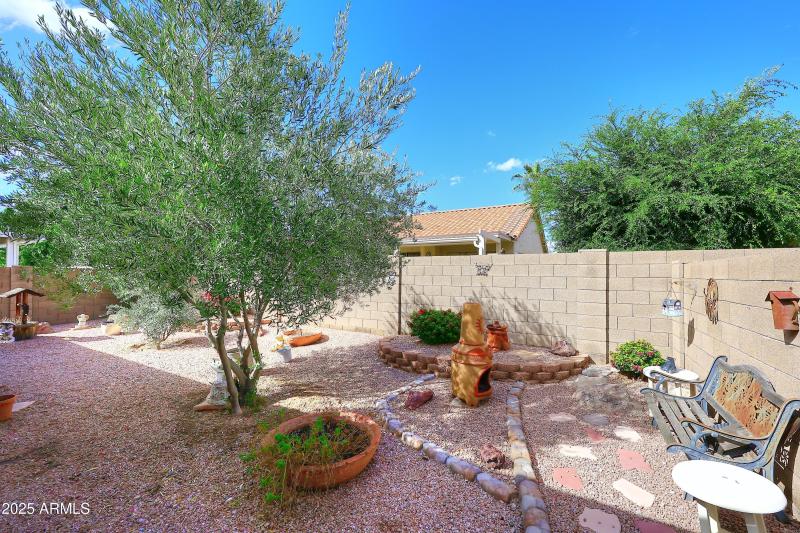 Backyard2