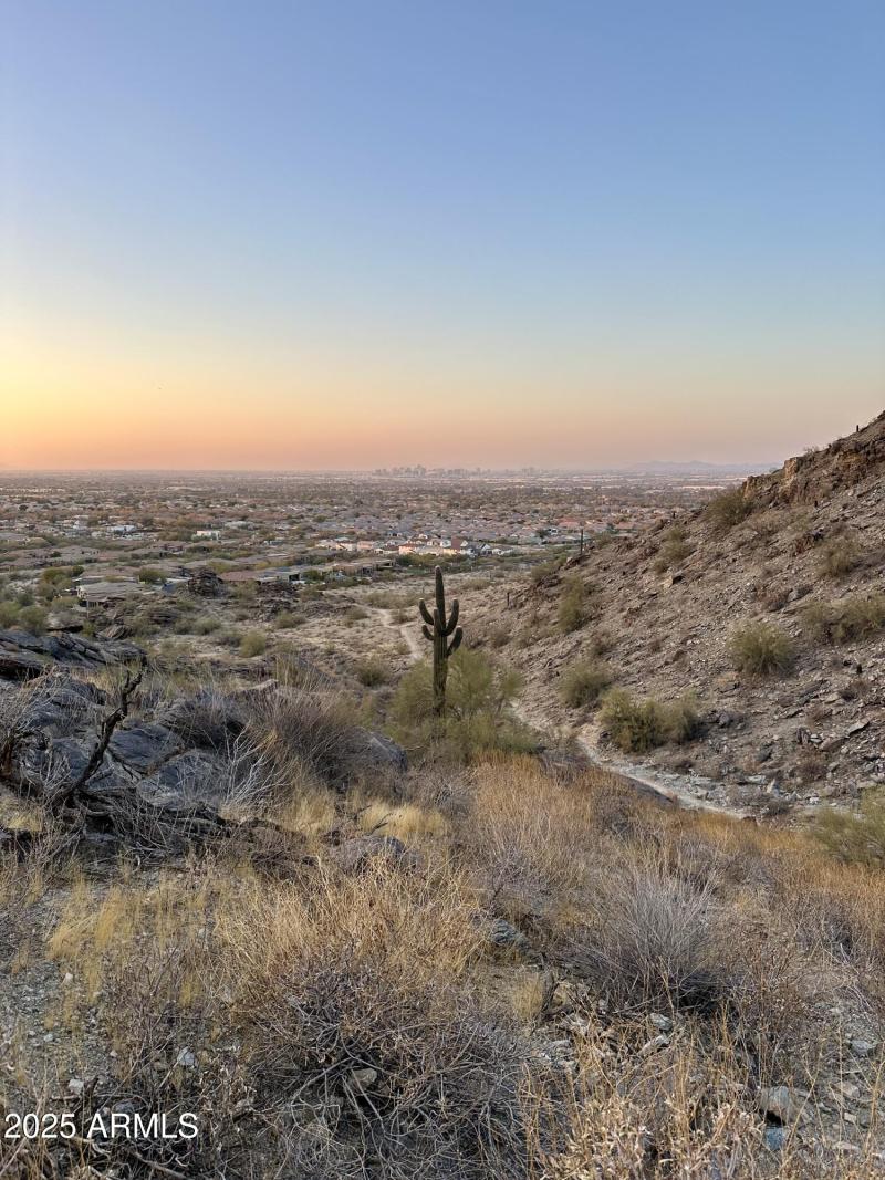 43 Desert