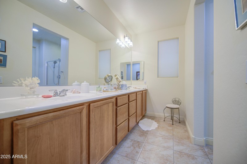 Primary Bath 4