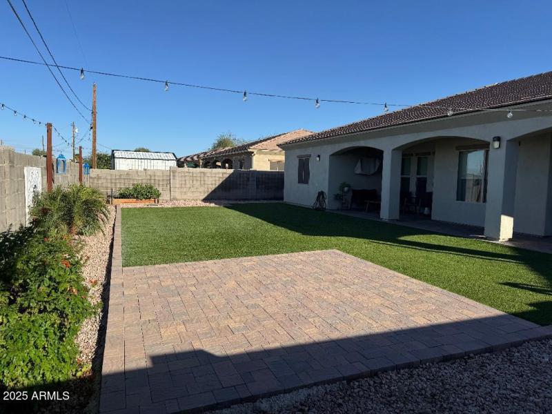 backyard 3