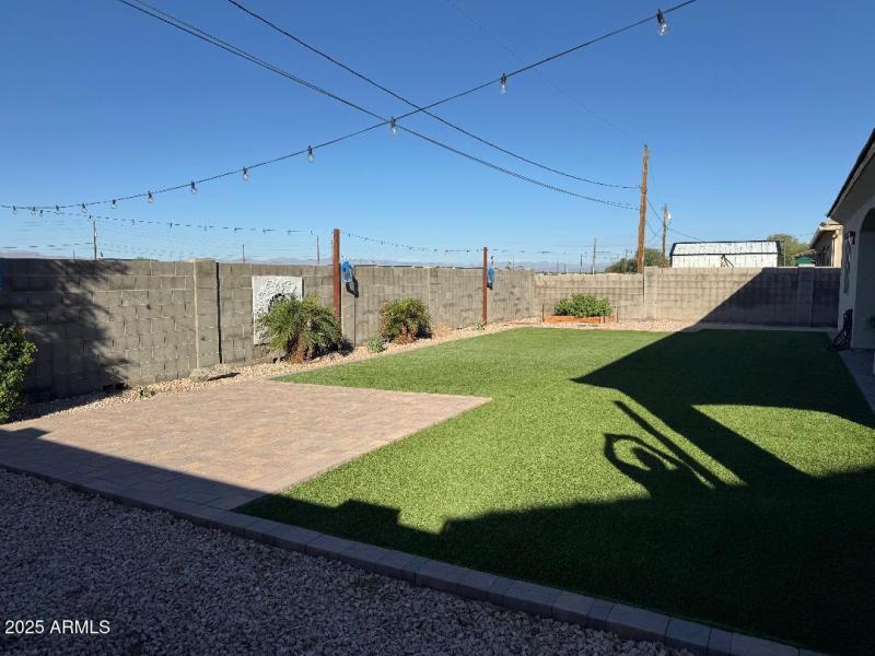 backyard 2