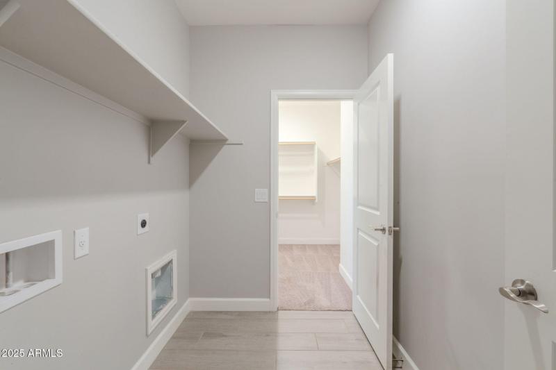 38-web-or-mls-Hazelnut-38