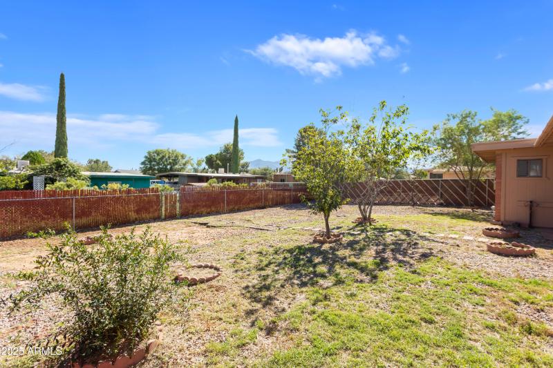 back yard