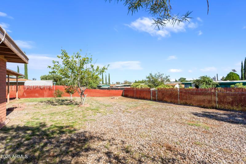 back yard
