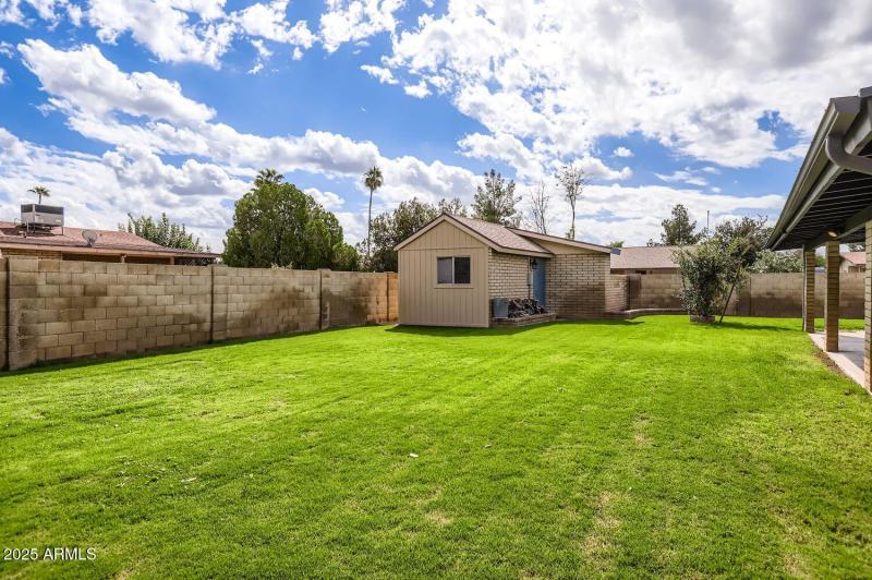 Backyard/Workshop