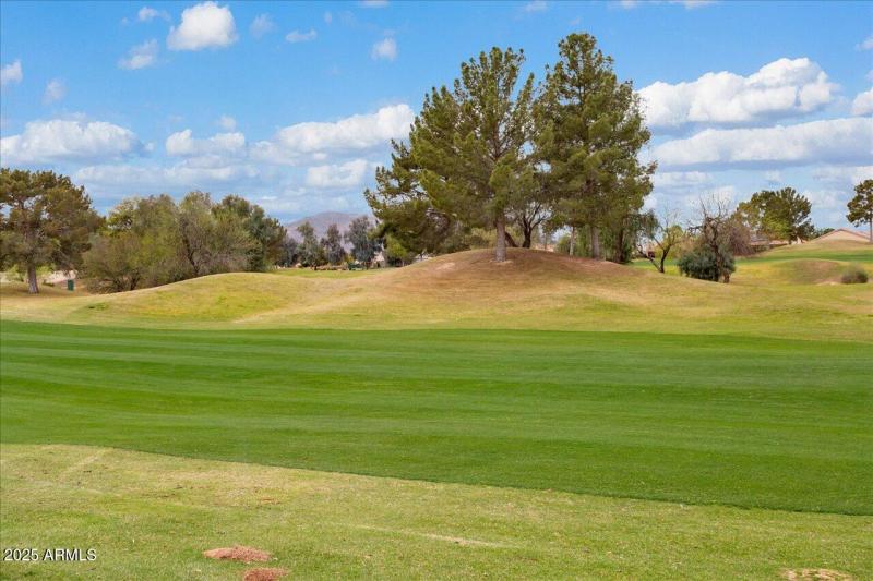 Green Golf Course View!