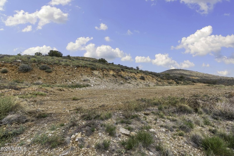 8-web-or-mls-6308-s-wolf-pack-trl