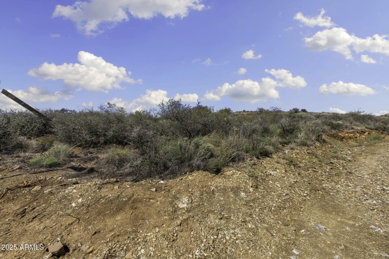 11-web-or-mls-6308-s-wolf-pack-trl