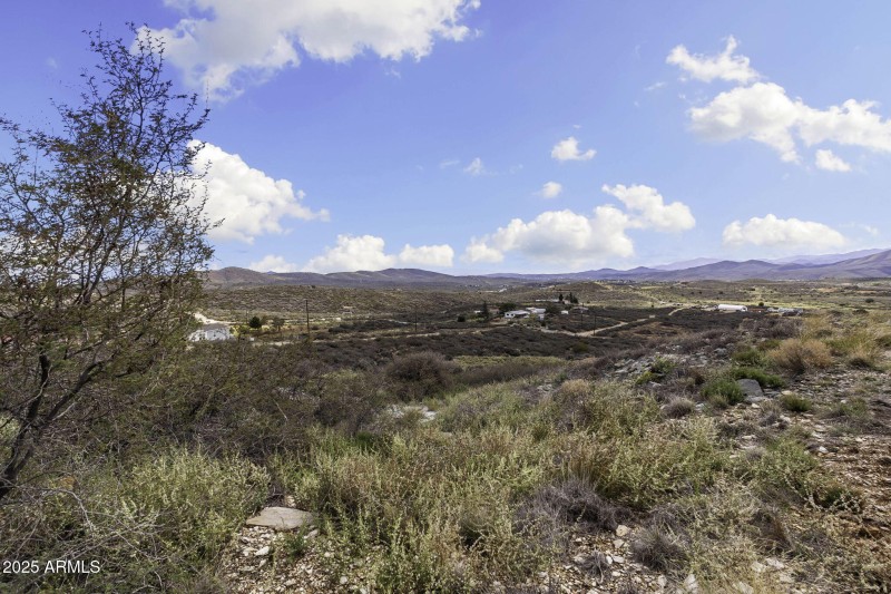 14-web-or-mls-6308-s-wolf-pack-trl