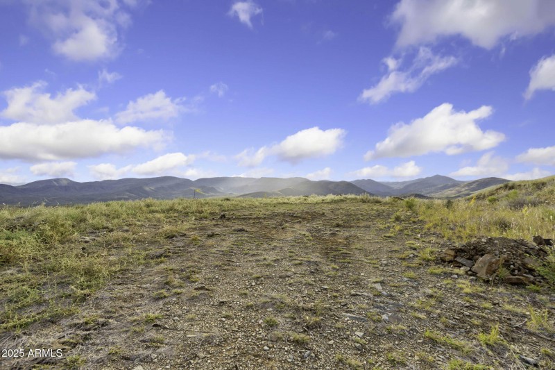 36-web-or-mls-6308-s-wolf-pack-trl