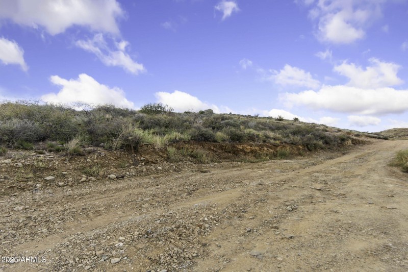 39-web-or-mls-6308-s-wolf-pack-trl