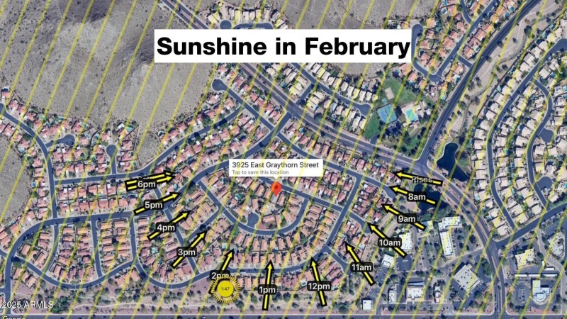 Sunshine in February