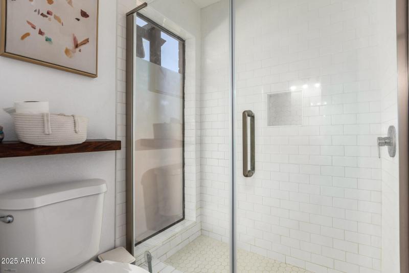 Primary Shower