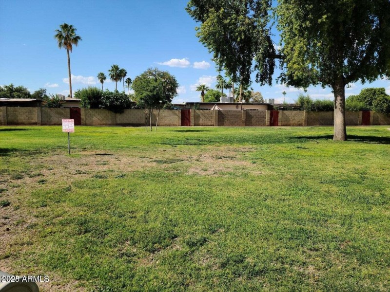 Grass Area 2